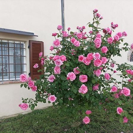 Appartamento In Cascina Cortazza Кремона Экстерьер фото