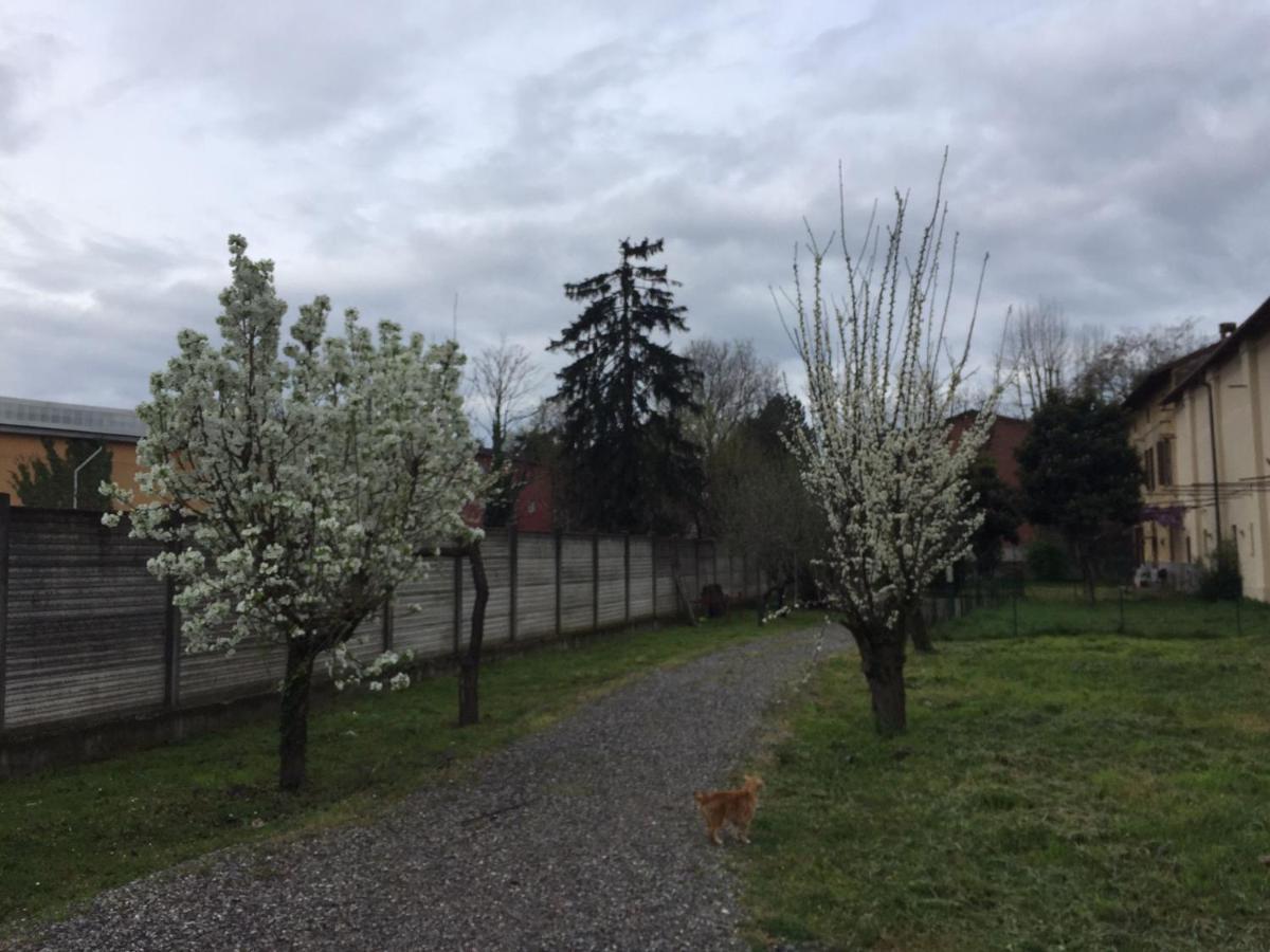 Appartamento In Cascina Cortazza Кремона Экстерьер фото