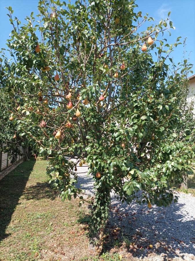 Appartamento In Cascina Cortazza Кремона Экстерьер фото