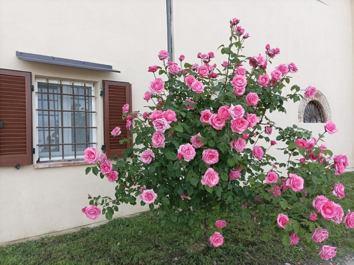 Appartamento In Cascina Cortazza Кремона Экстерьер фото